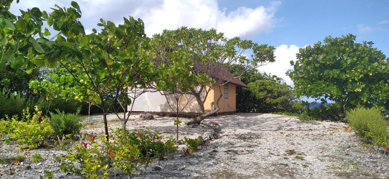 Fakarava - Teariki Lodge 1 Zewnętrze zdjęcie